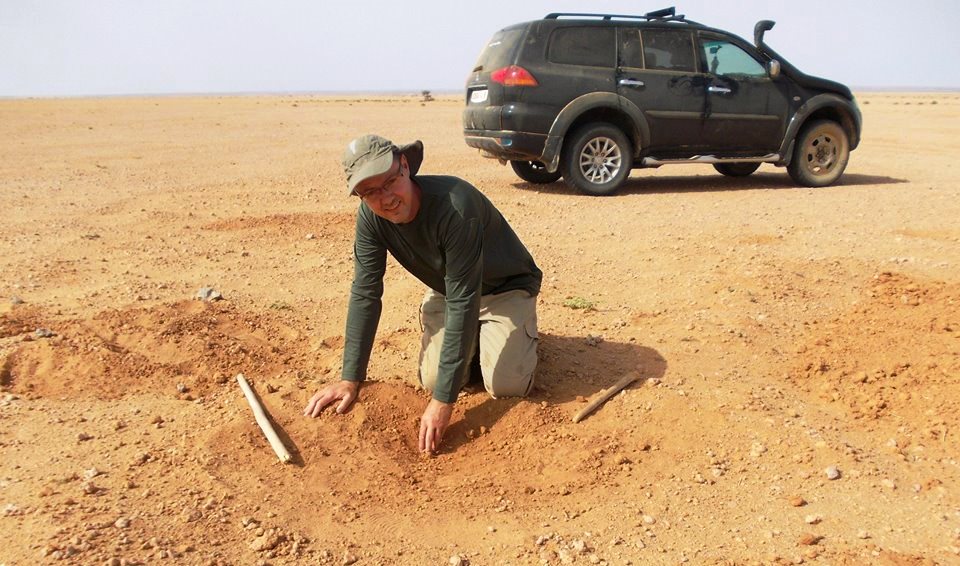 Aydar meteorite strew field