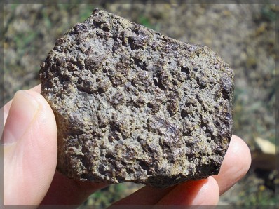 Chondrite 183 g b