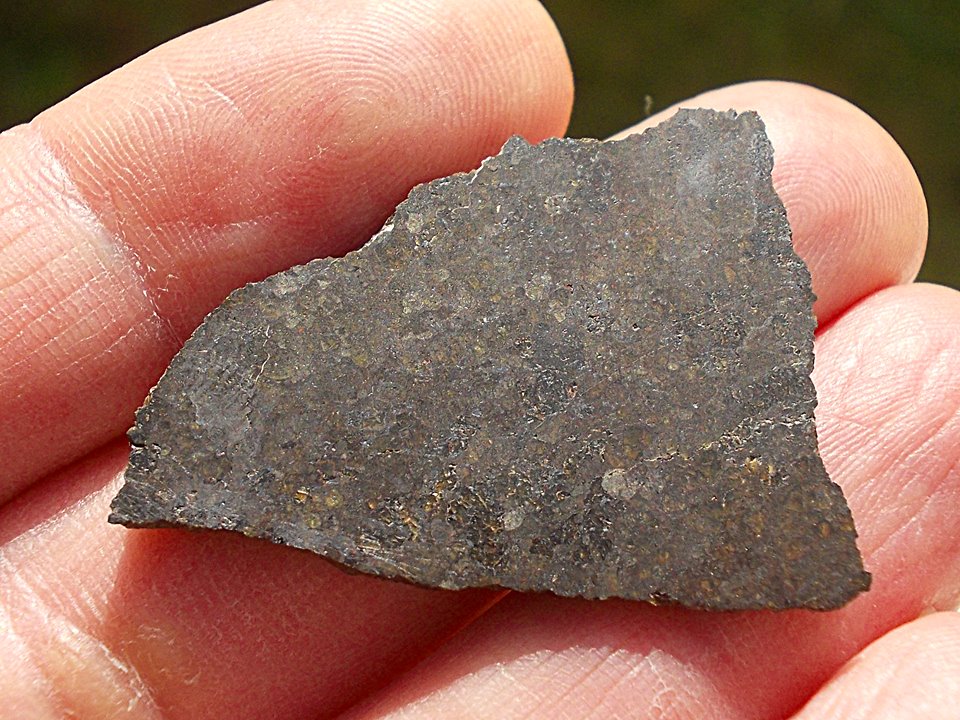 Dhofar 979 ureilite