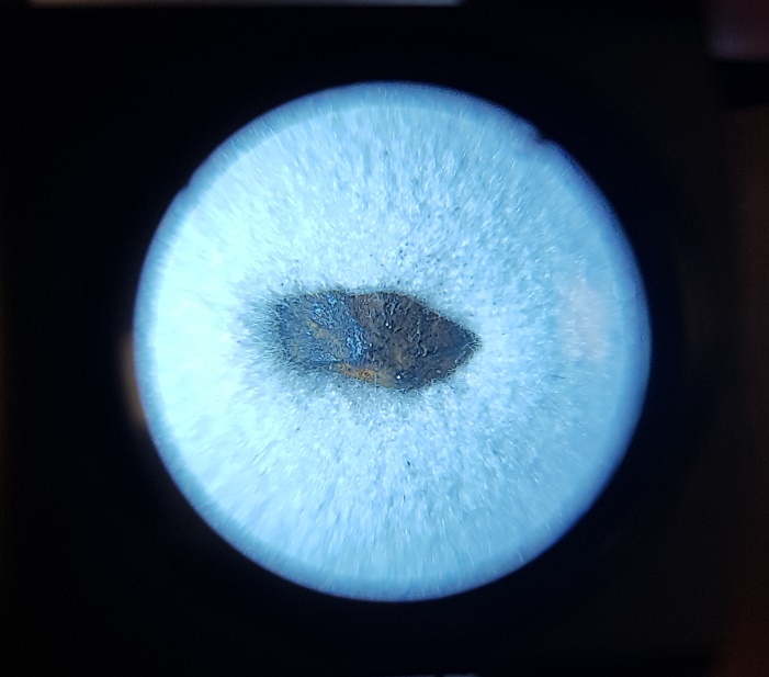 L aigle meteorite