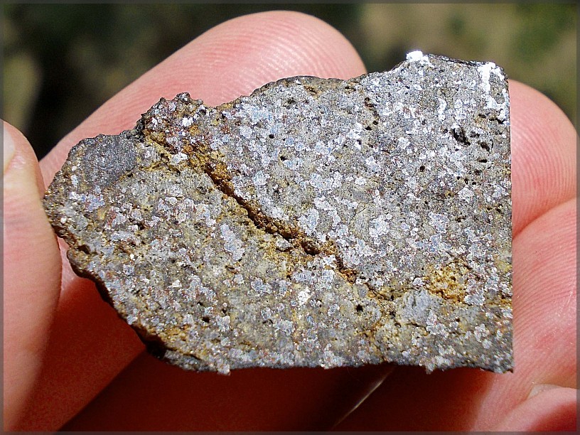 Mesosiderite nwa6307 b