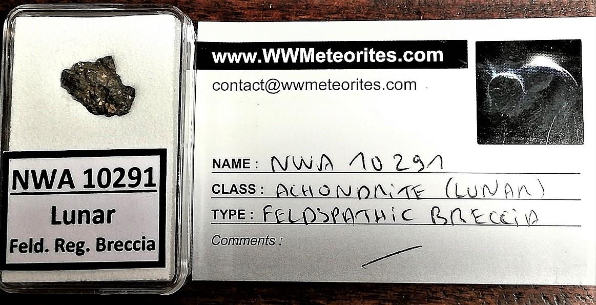 Nwa 10291 lunar meteorite