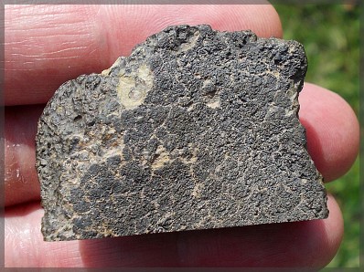 Nwa 11087 cv3 b