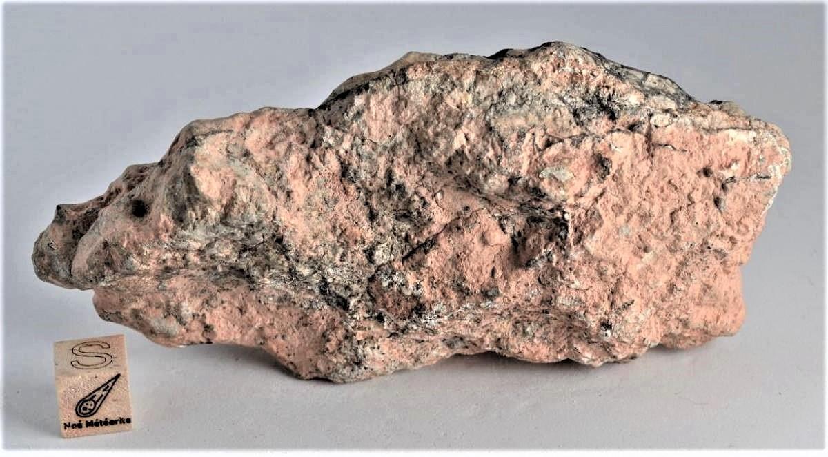 Nwa 11273 paired 169 g 3