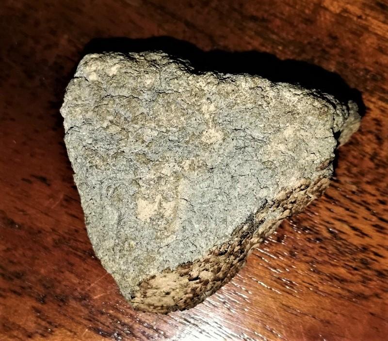 Nwa 12269 martian meteorite c