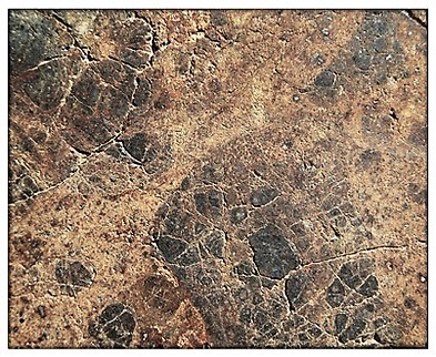 Nwa 6306 b 1