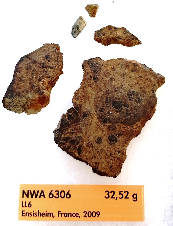 Nwa 6306 ll6 brechique 1