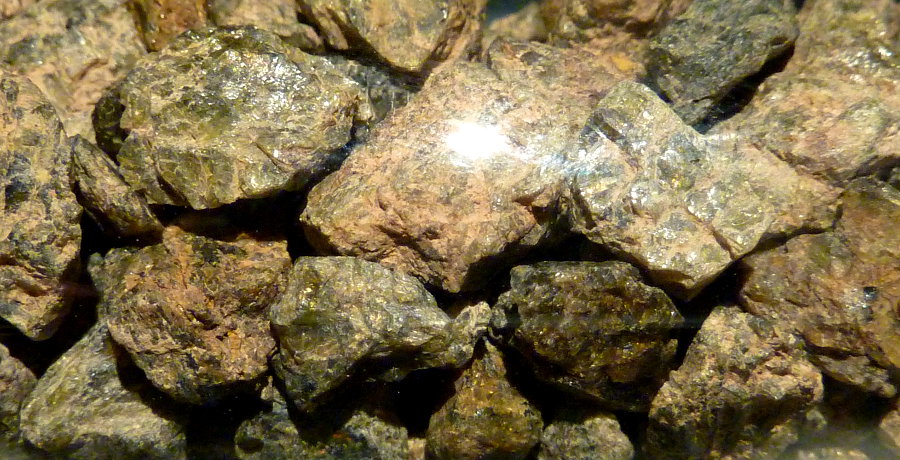 Nwa 7831 44 03