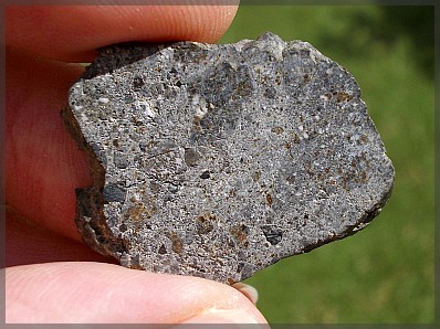 Nwa2698 5 4 g