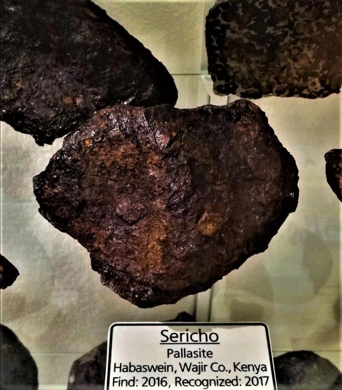 Sericho 1566g pallasite