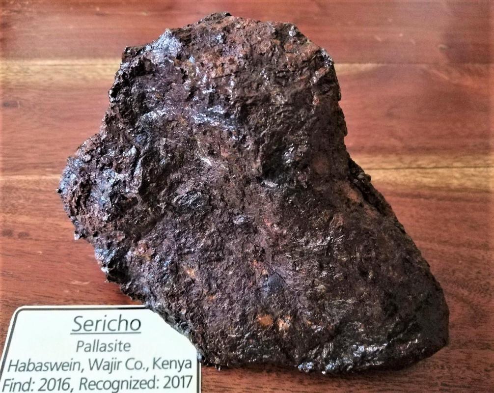 Sericho meteorite pallasite 1