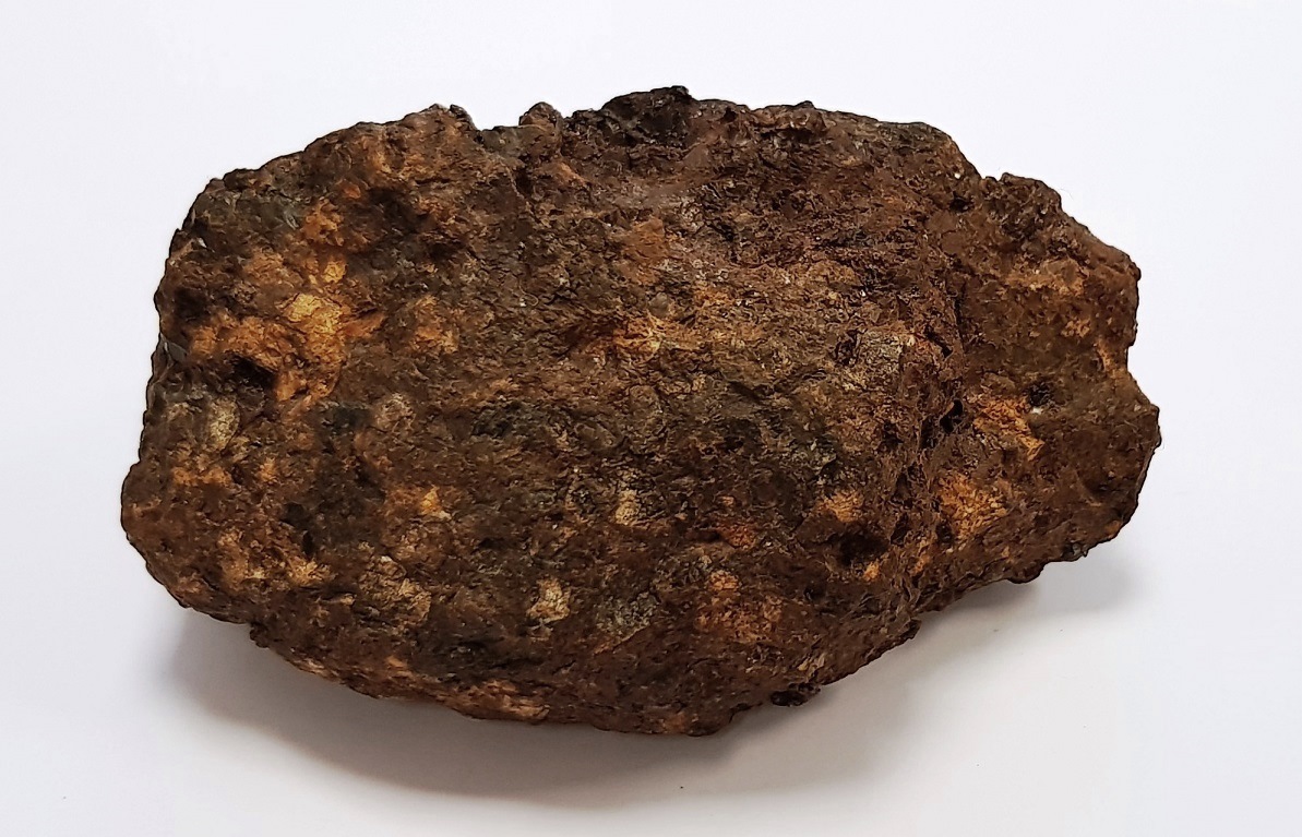 Sericho pallasite 693 g 1