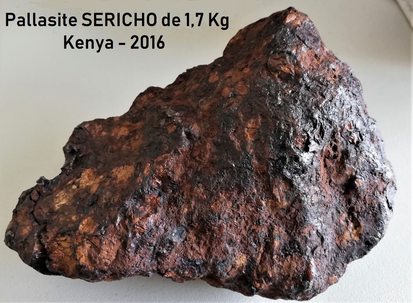 Sericho pallasite kenya 1700g copie