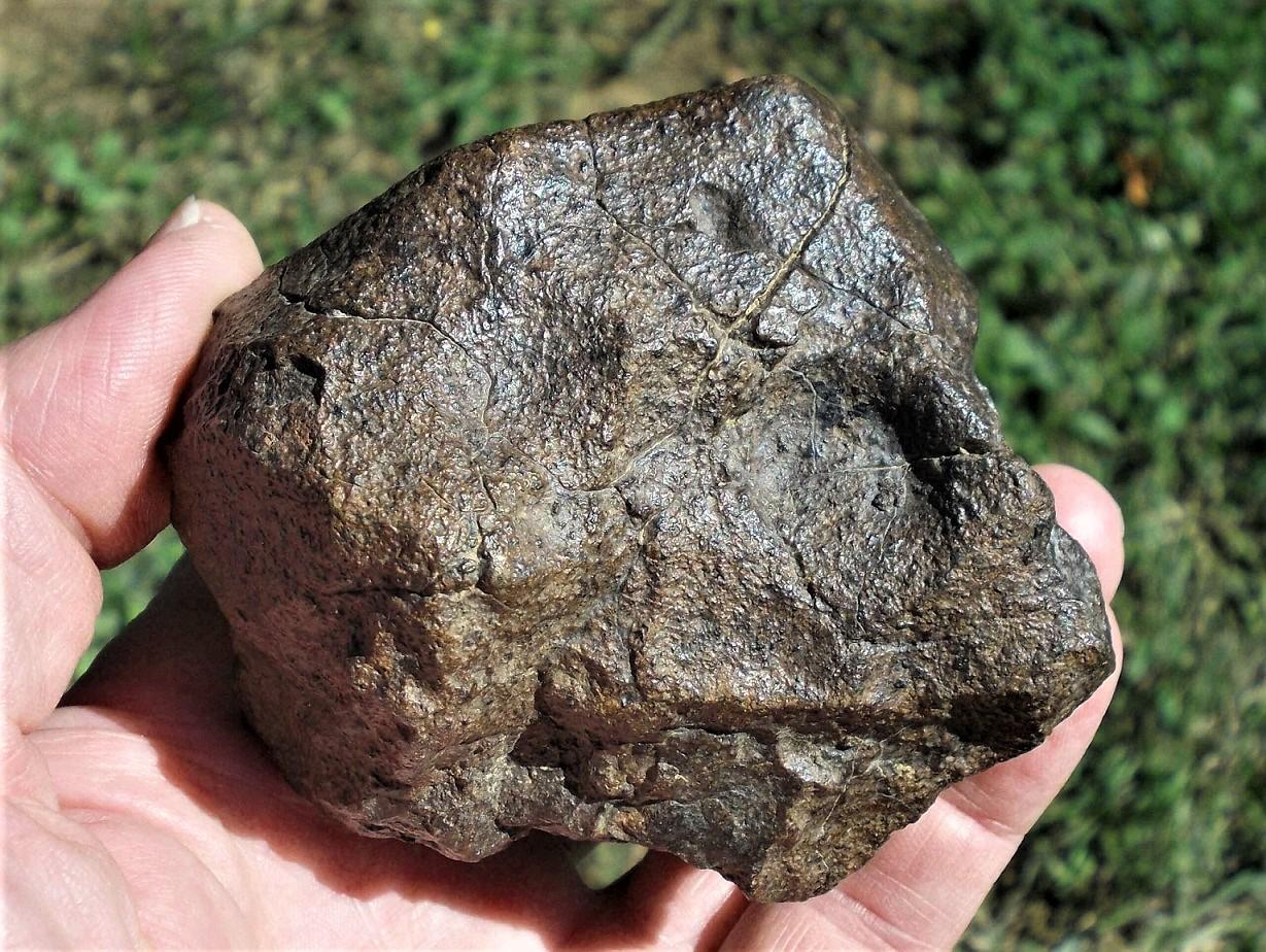 Al haggounia 008 chondrite h5