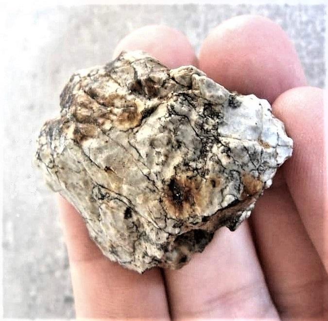Aubrite meteorite 20 4 g