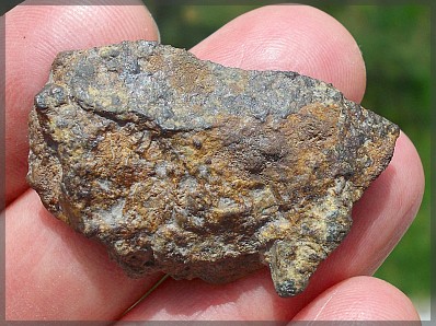 Aydar 9 9 g acapulcoite 1