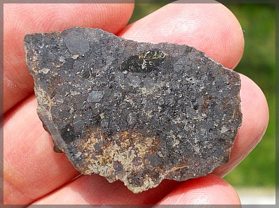 Aydar 9 9 g acapulcoite