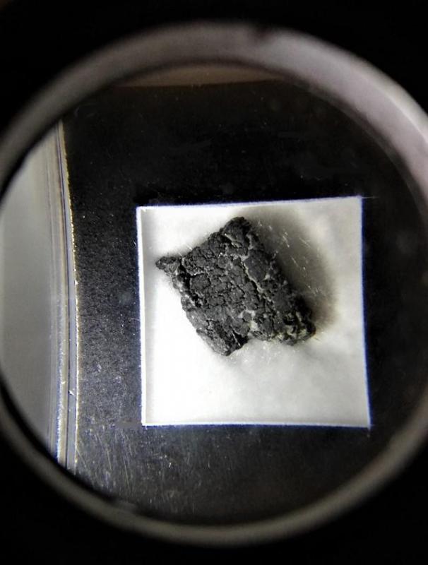 Chassigny meteorite b