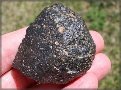 Chondrite carbonee cv3 a