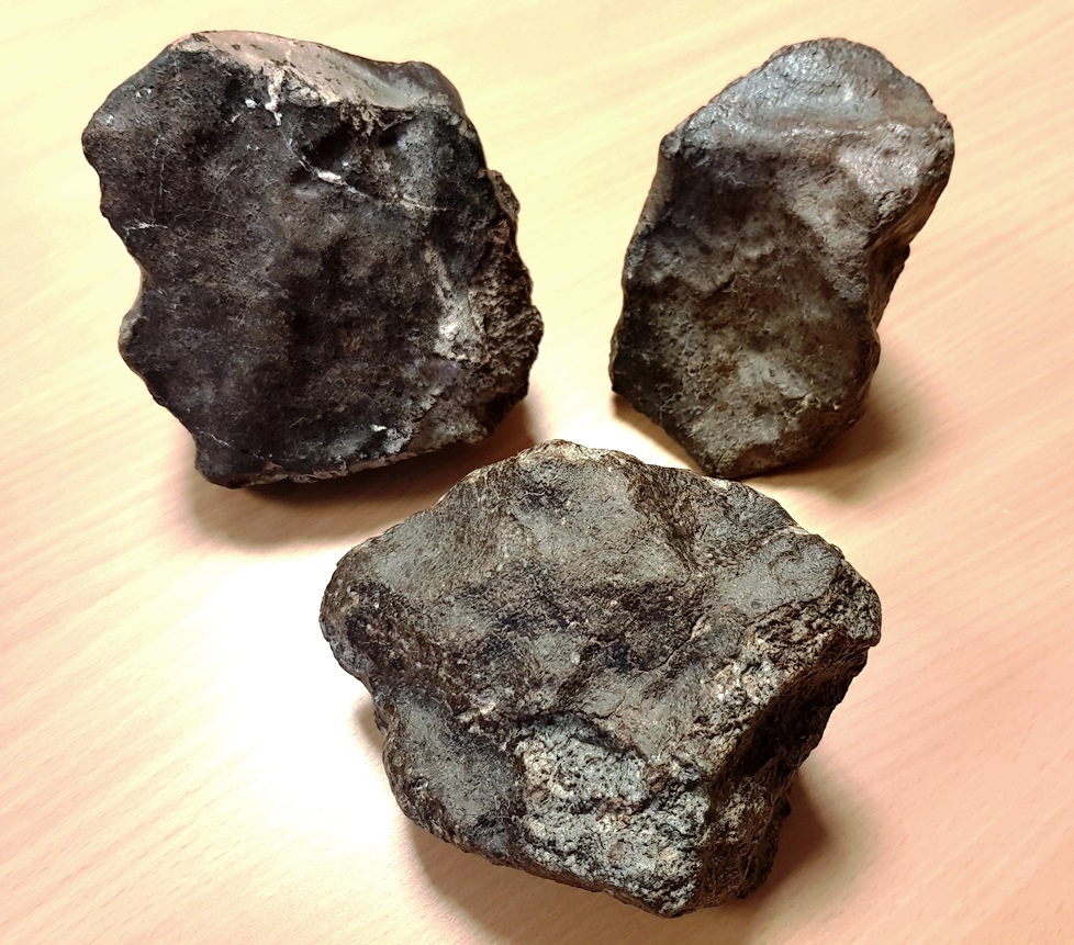 Chondrite nwa 1