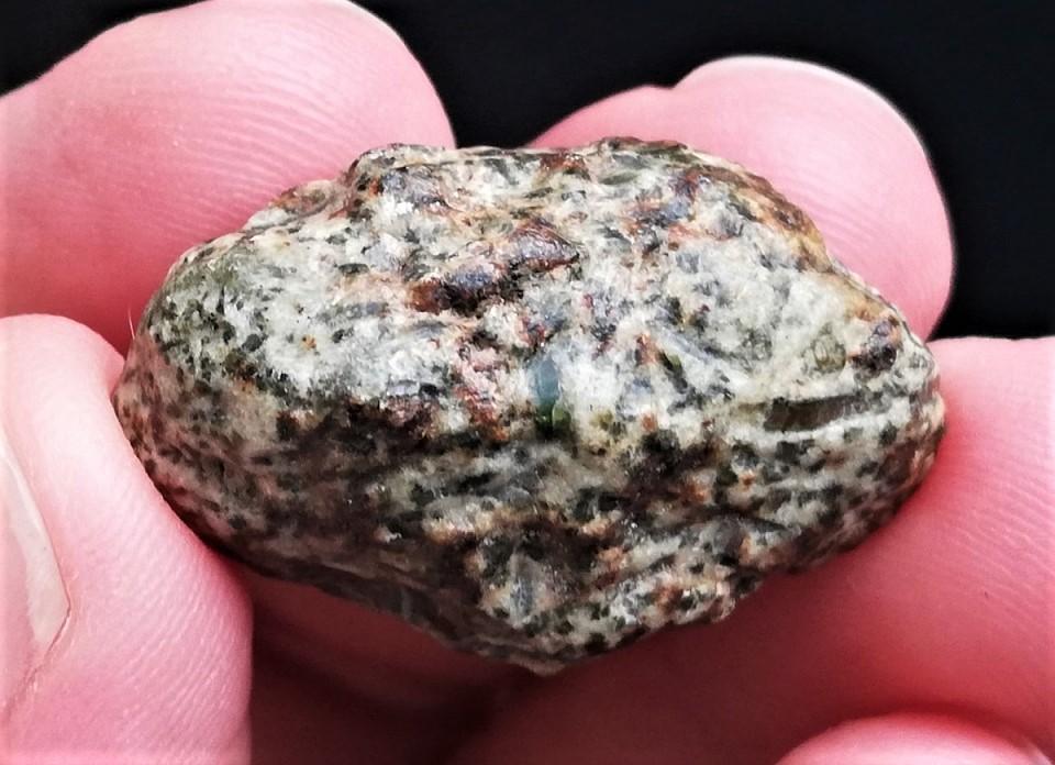 Erg chech 002 meteorite 1