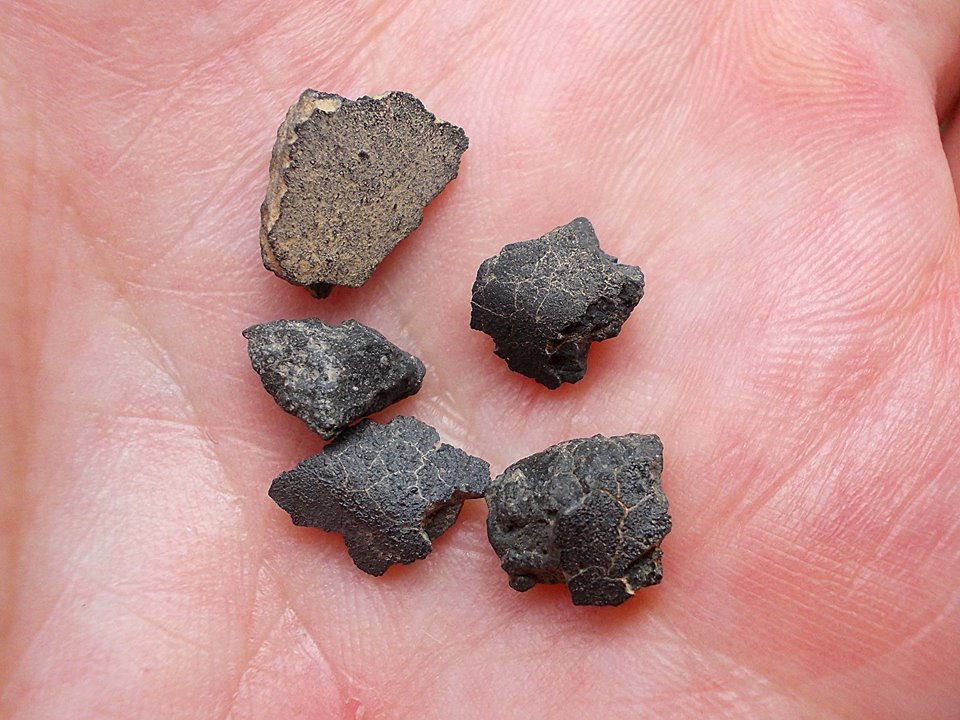 Jbilet winselwan carbonee cm2