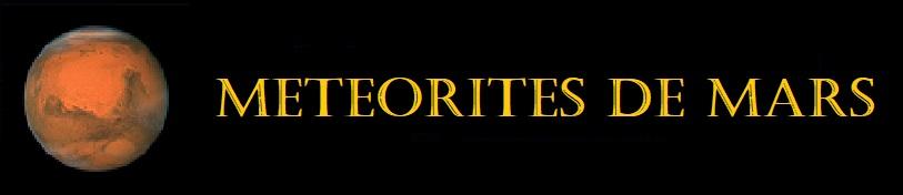 Meteorite martienne 1