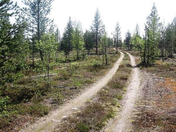 Muonionalusta site de la chute