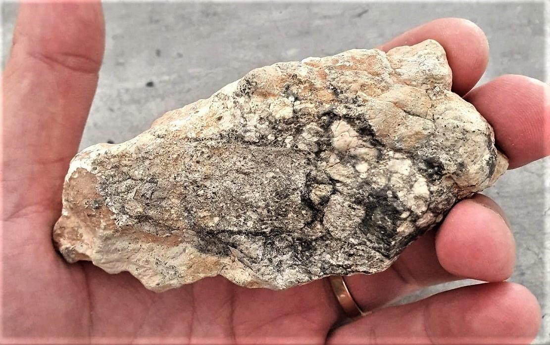 Nwa 11273 lunar rock meteorite