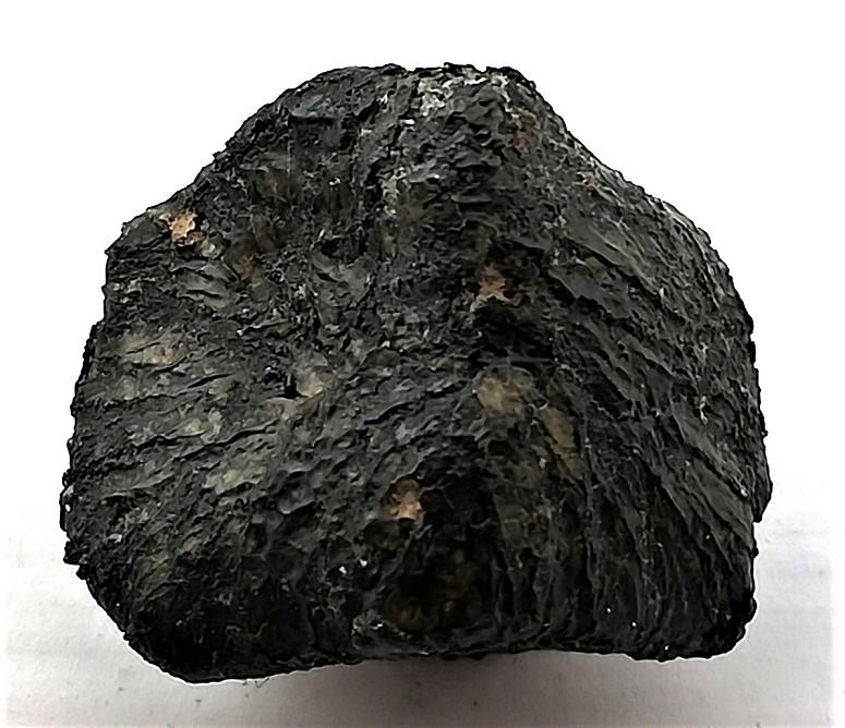 Nwa 11668 shergottite 5 5g