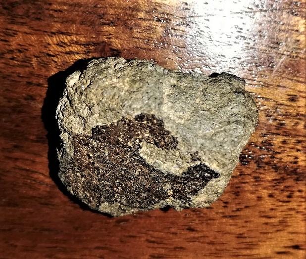 Nwa 12269 martian meteorite a