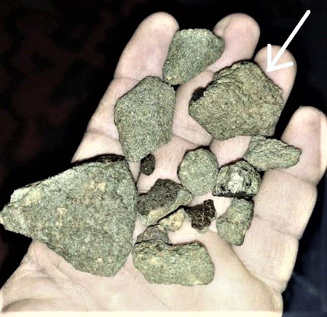 Nwa 12269 martian meteorites 2