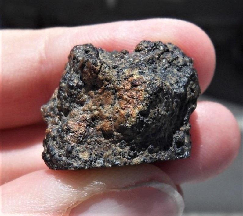 Nwa 13250 lherzolitic shergottite