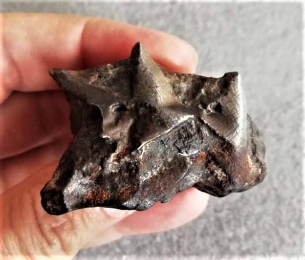 Nwa 13790 winonaite 62 8g