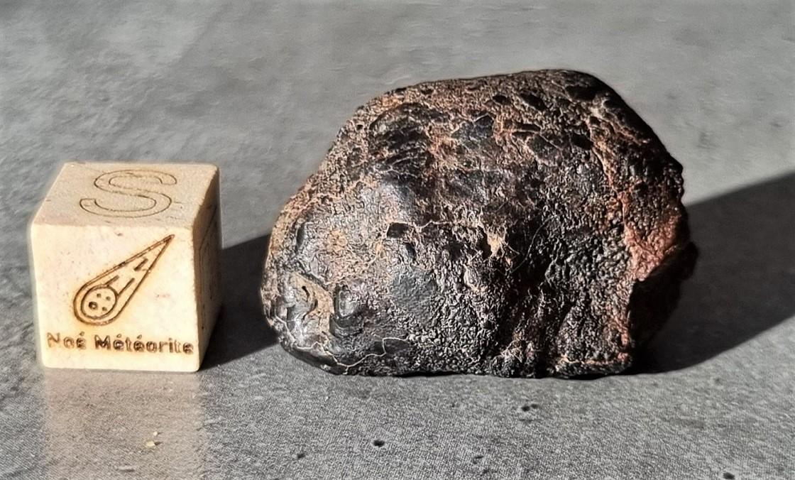 Nwa 14086 ureilite 11 7 g