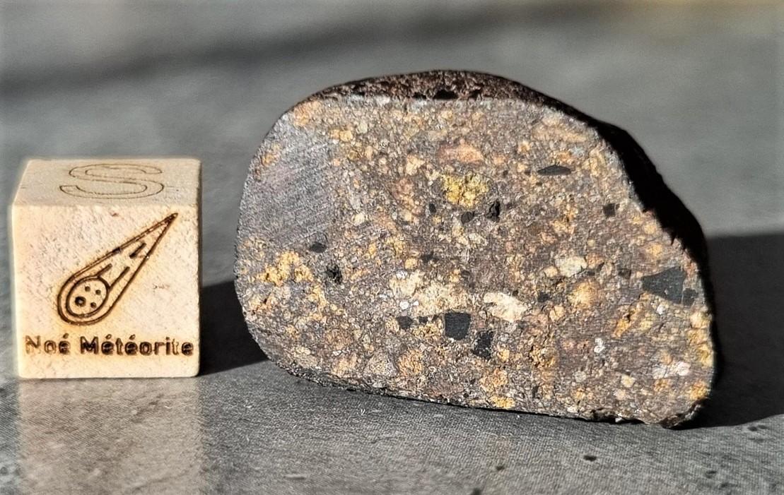 Nwa 14086 ureilite 11 7g