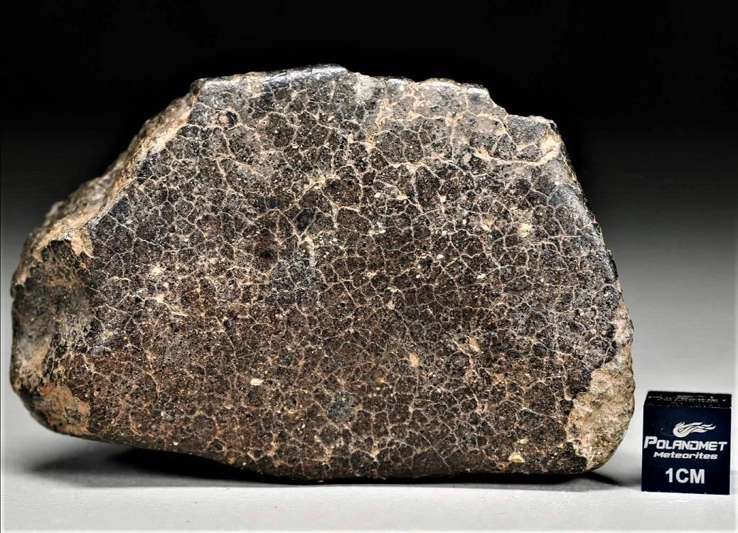 Nwa 2698 complete stone b 1