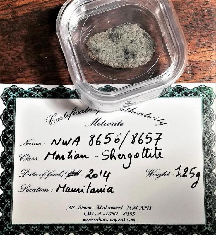 Nwa 8656 shergottite