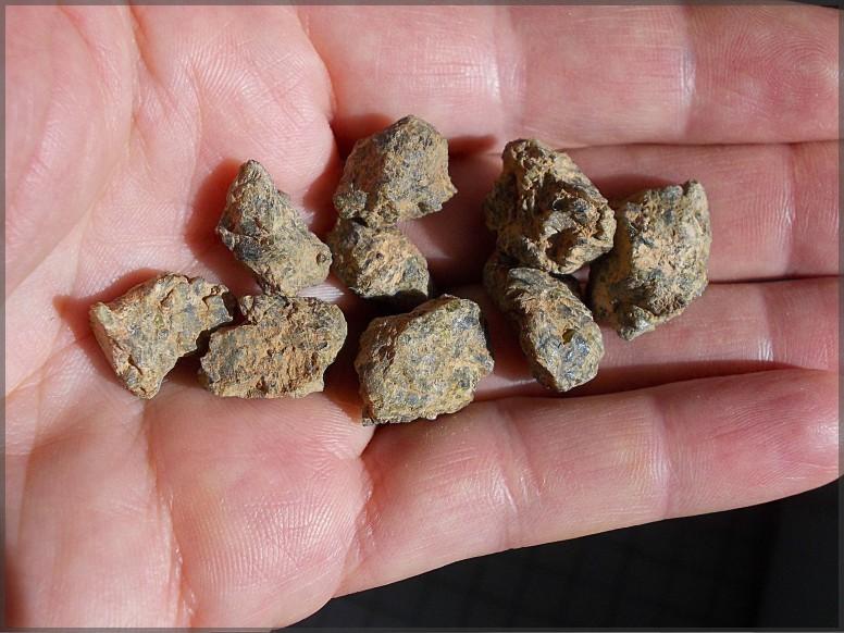 Nwa7831 dio lot 30g 125