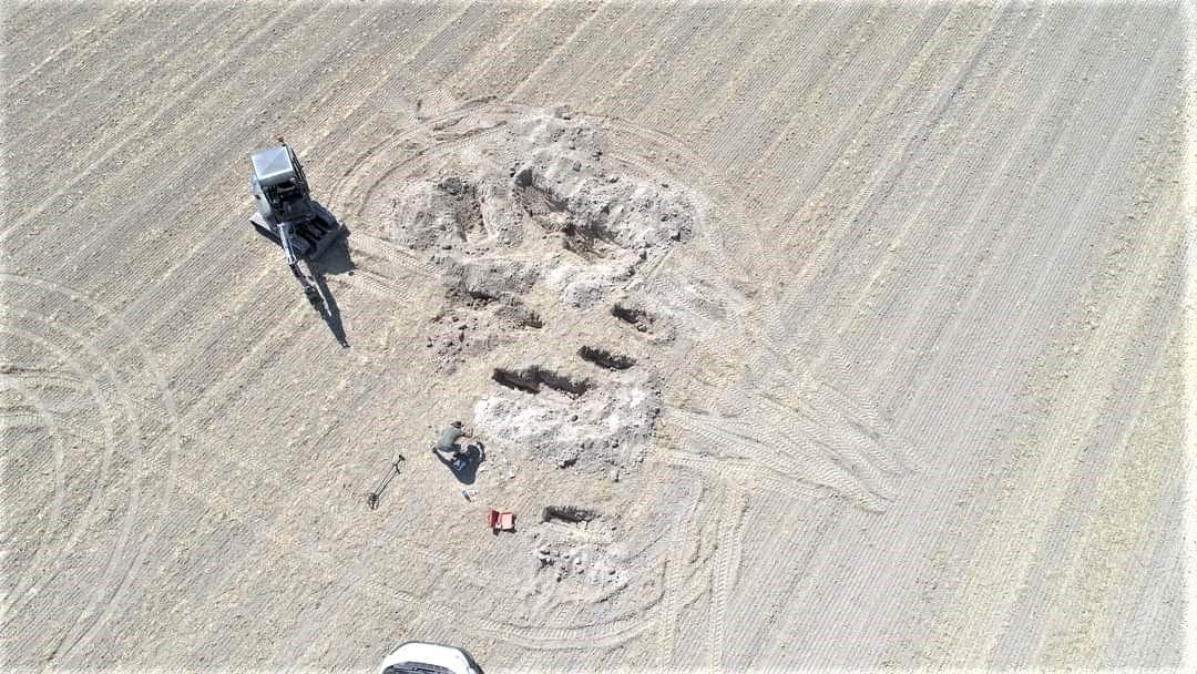 Saint aubin meteorite siderite