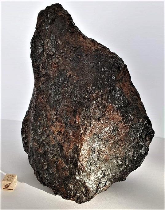 Sericho 3140 g