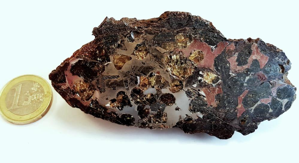 Sericho meteorite pallasite 213 g