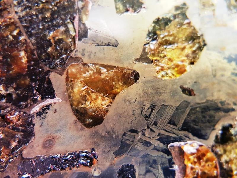 Sericho meteorite pallasite