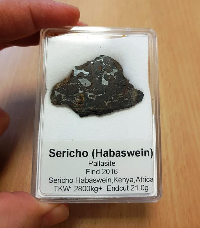 Sericho pallasite 4