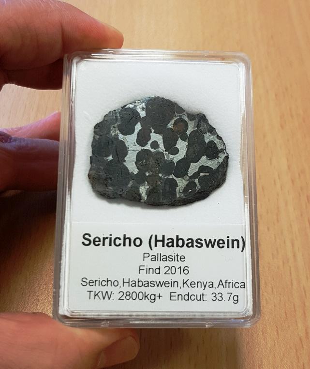 Sericho pallasite 5