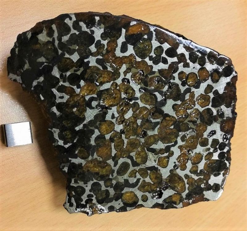 Sericho pallasite 543g 1