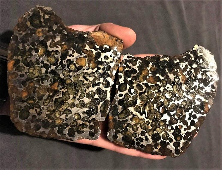 Sericho pallasite coupee polie