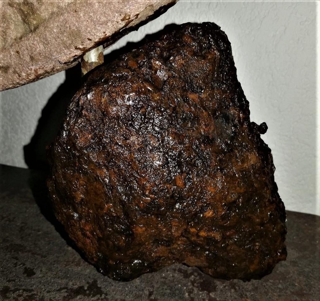 Sericho pallasite meteorite 909 g