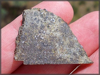 Tafassasset brachinite b