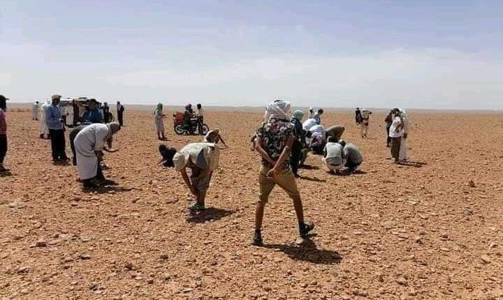 Tarda carbonaceous c2 c